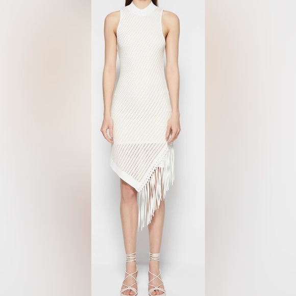 Jonathan Simkhai CHELLE POINTELLE FRINGE DRESS - Picture 7 of 8